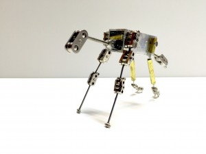 Armature of the fox